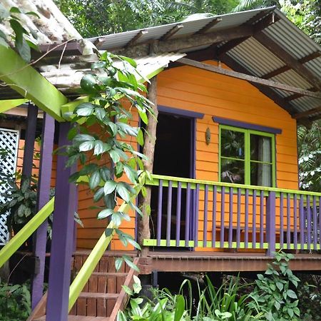 Rainforest Hideaway Cape Tribulation Esterno foto