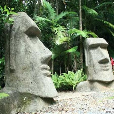 Rainforest Hideaway Cape Tribulation Esterno foto