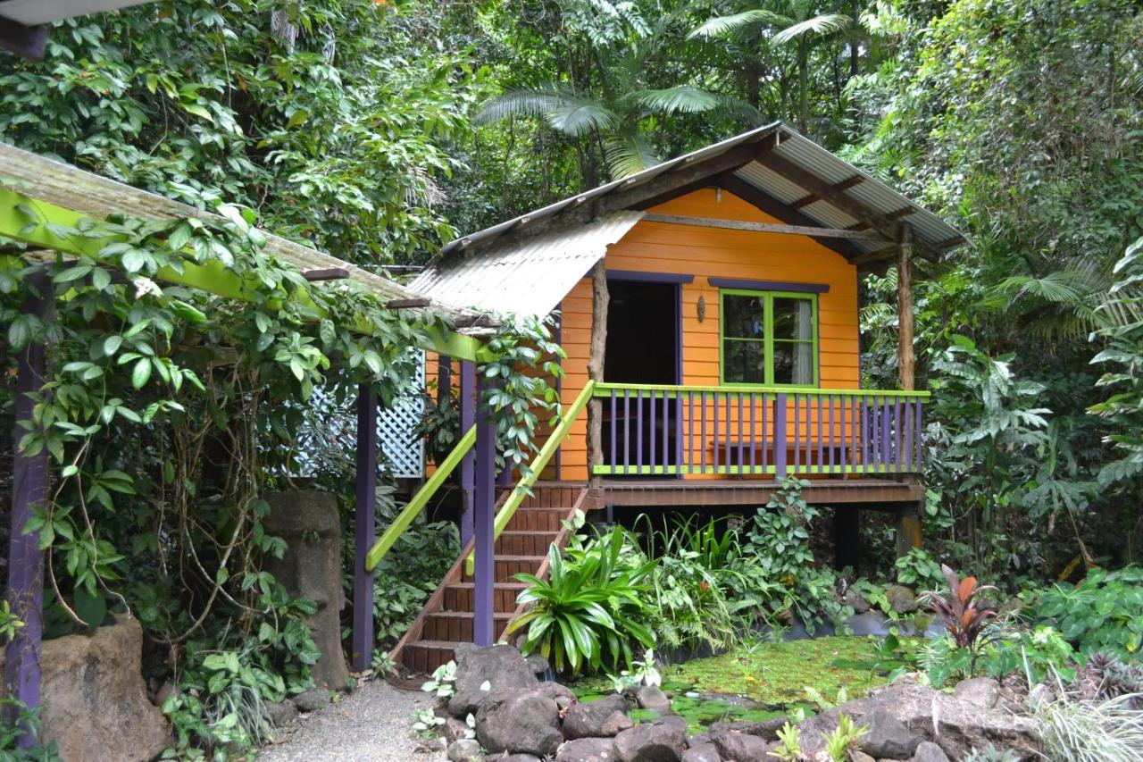 Rainforest Hideaway Cape Tribulation Esterno foto