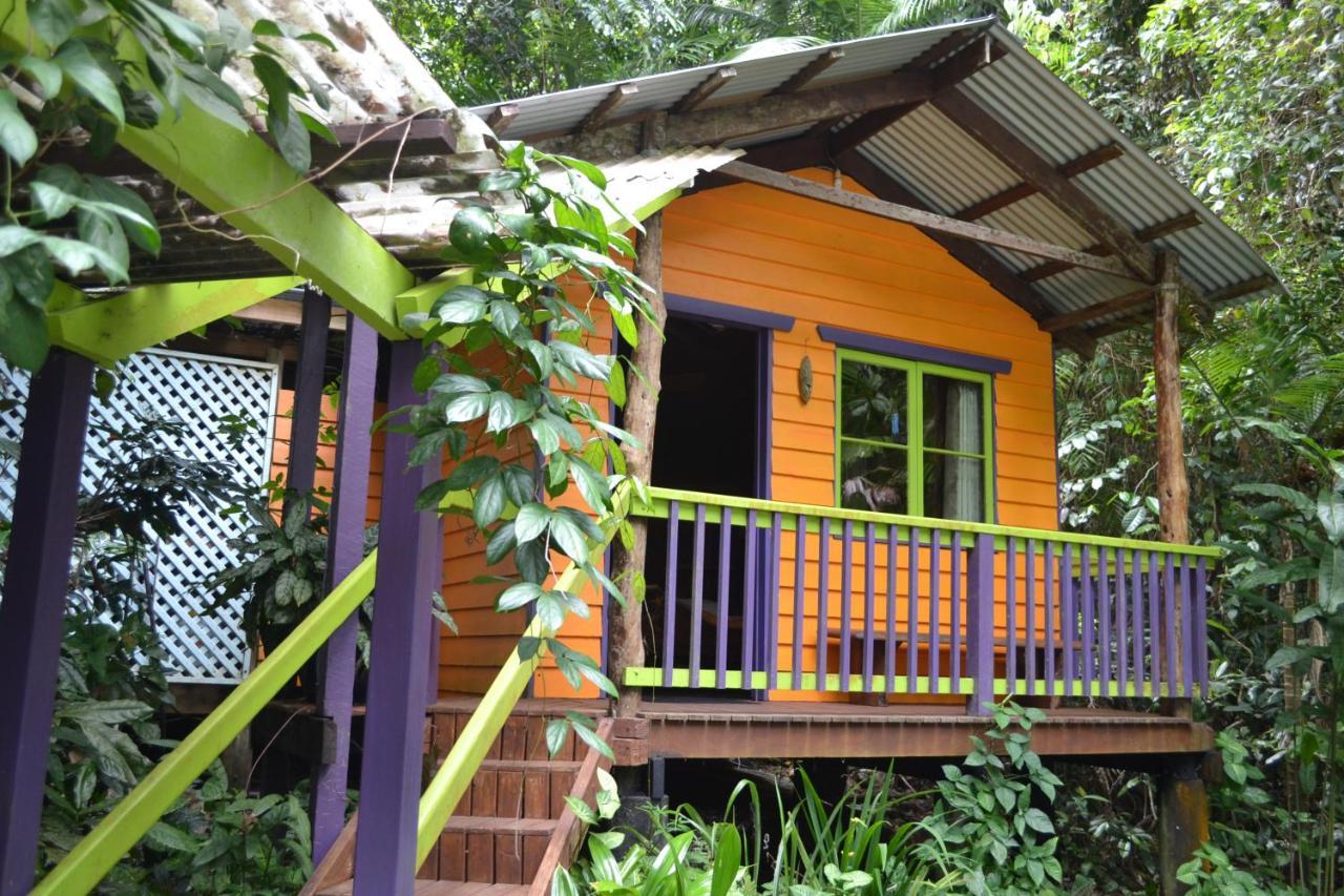 Rainforest Hideaway Cape Tribulation Esterno foto