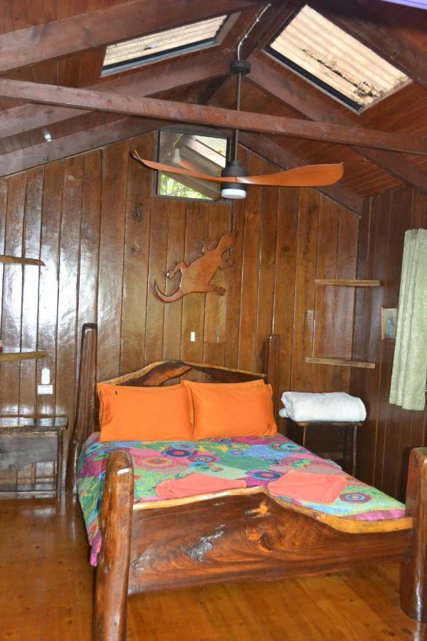 Rainforest Hideaway Cape Tribulation Esterno foto