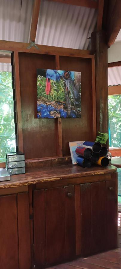 Rainforest Hideaway Cape Tribulation Esterno foto