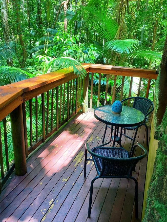 Rainforest Hideaway Cape Tribulation Esterno foto