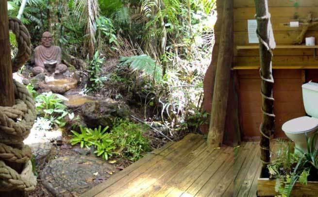 Rainforest Hideaway Cape Tribulation Camera foto