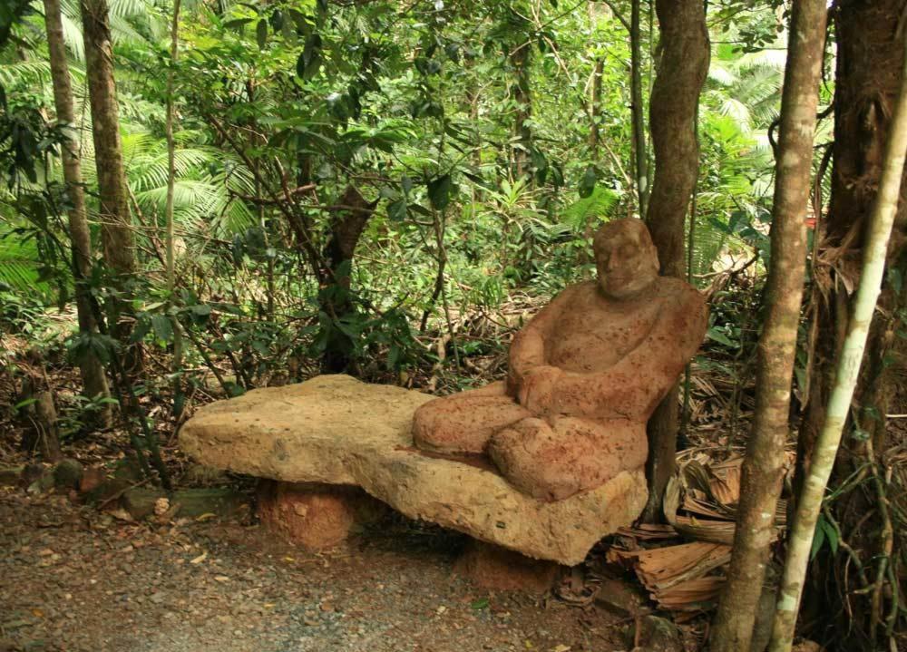 Rainforest Hideaway Cape Tribulation Esterno foto