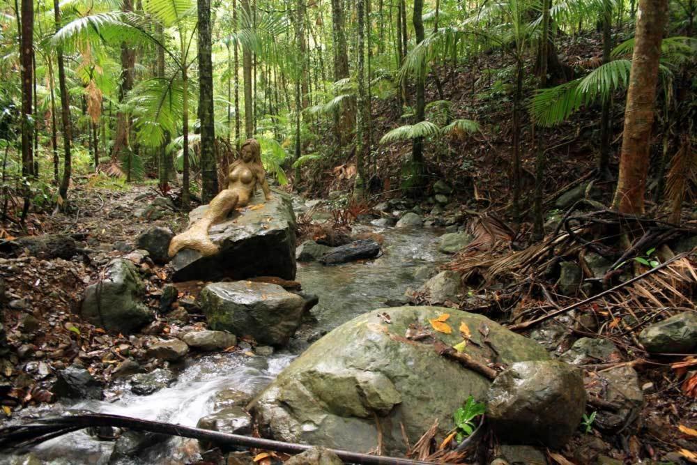 Rainforest Hideaway Cape Tribulation Esterno foto