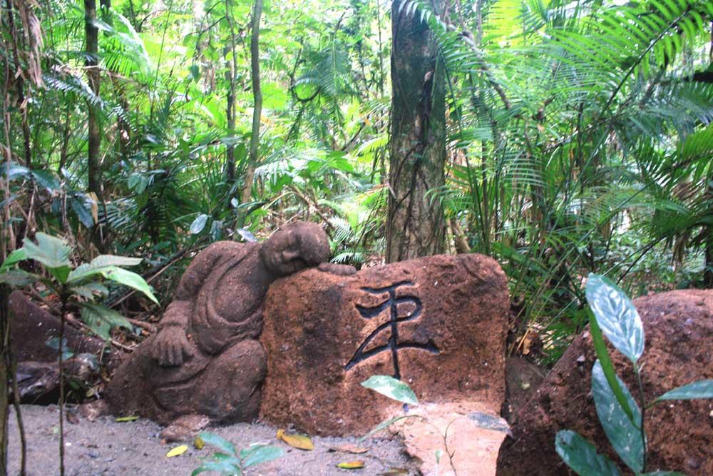Rainforest Hideaway Cape Tribulation Esterno foto