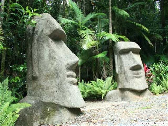 Rainforest Hideaway Cape Tribulation Esterno foto