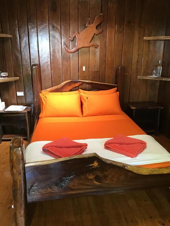 Rainforest Hideaway Cape Tribulation Esterno foto