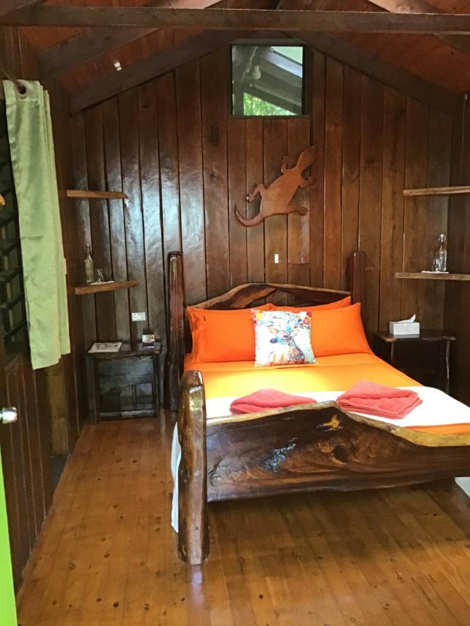 Rainforest Hideaway Cape Tribulation Esterno foto